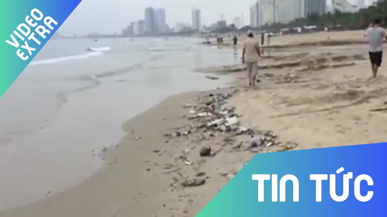 Bai bien Da Nang ngap rac ngay nghi le hinh anh