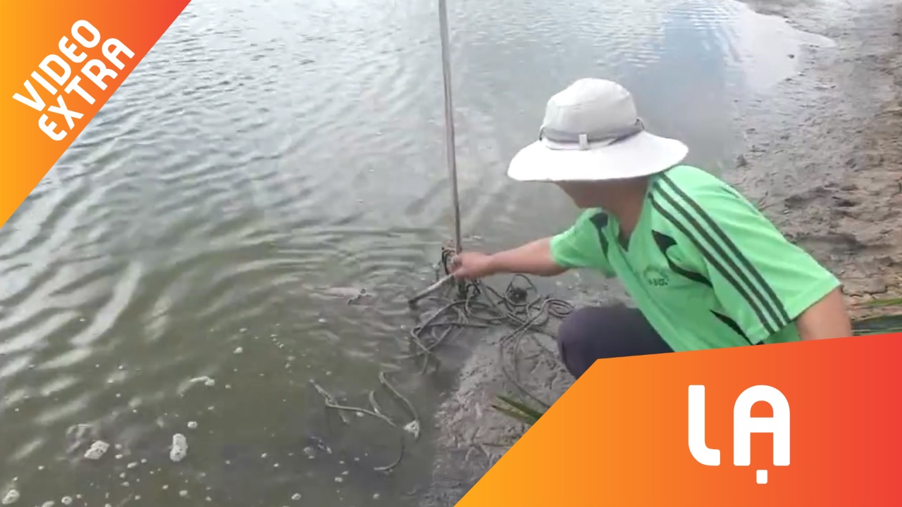 Bom 'khung' bat ngo troi len giua ao hinh anh