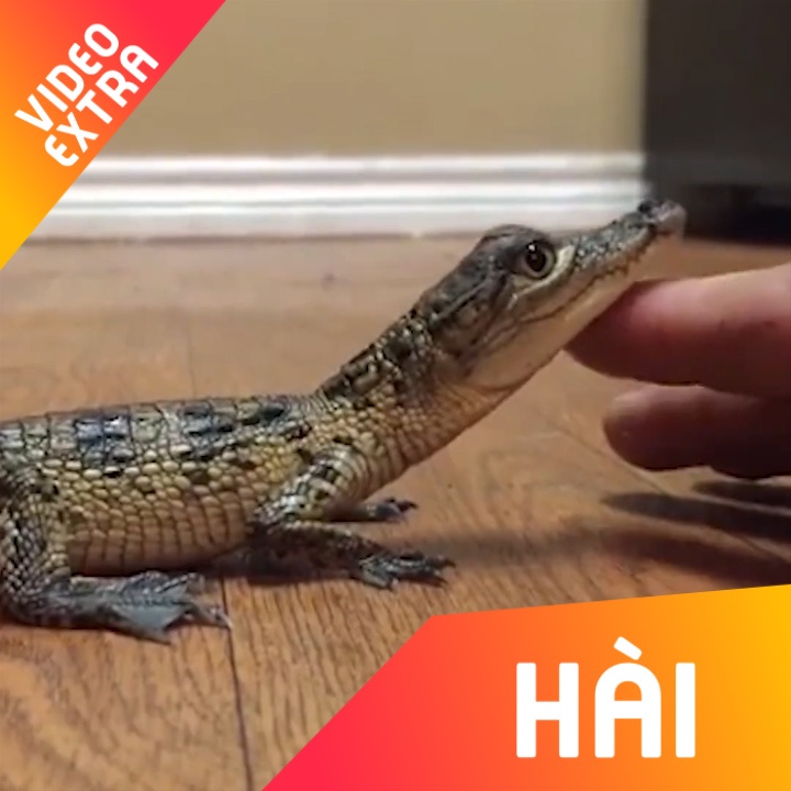 Nhung khoanh khac 'nhong nheo' cua ca sau khi da chan san moi hinh anh