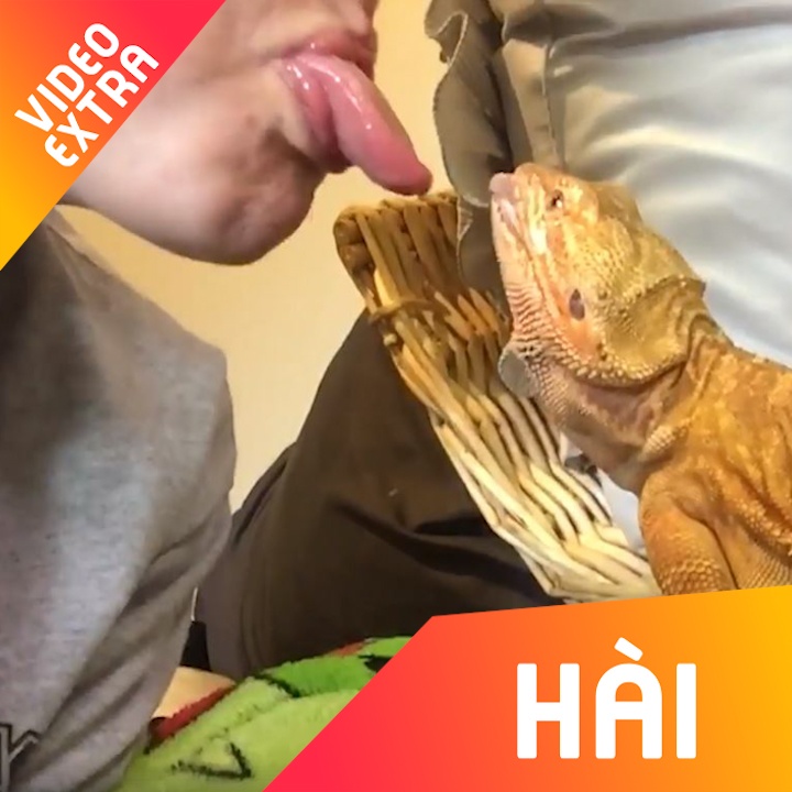 Nhung cach chay tron ki la cua than lan hinh anh