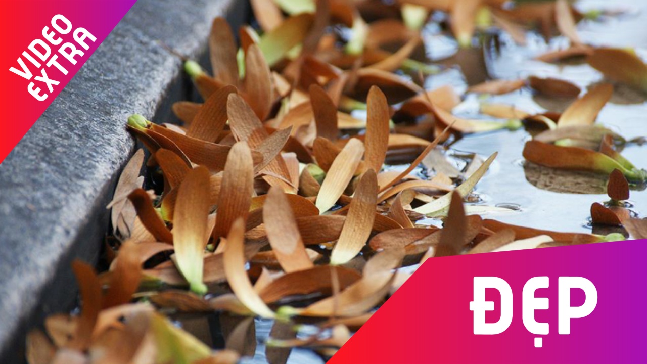 Sai Gon dep nao long mua qua dau bay hinh anh