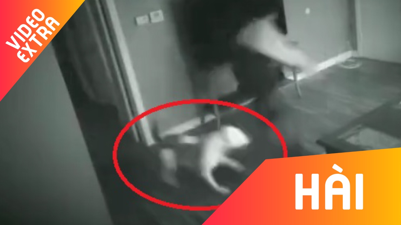 Trom dot nhap nha co gai, bi cho lao ra can toi ta o Trung Quoc hinh anh