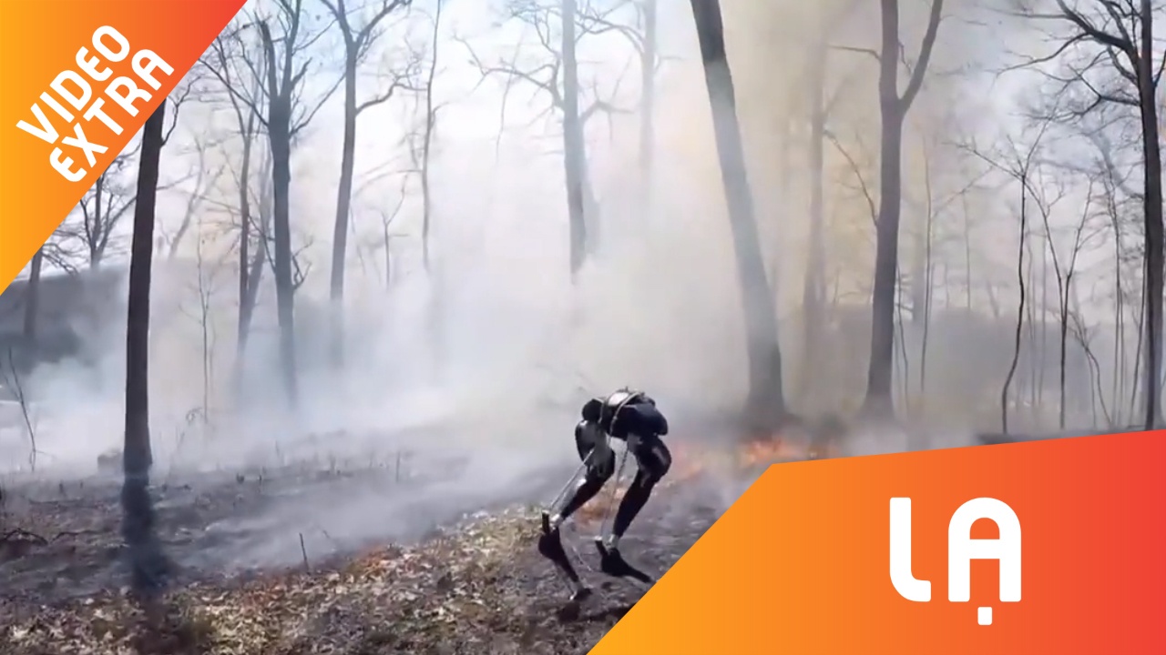 Robot cuu hoa hai chan di bo qua lua tai My hinh anh