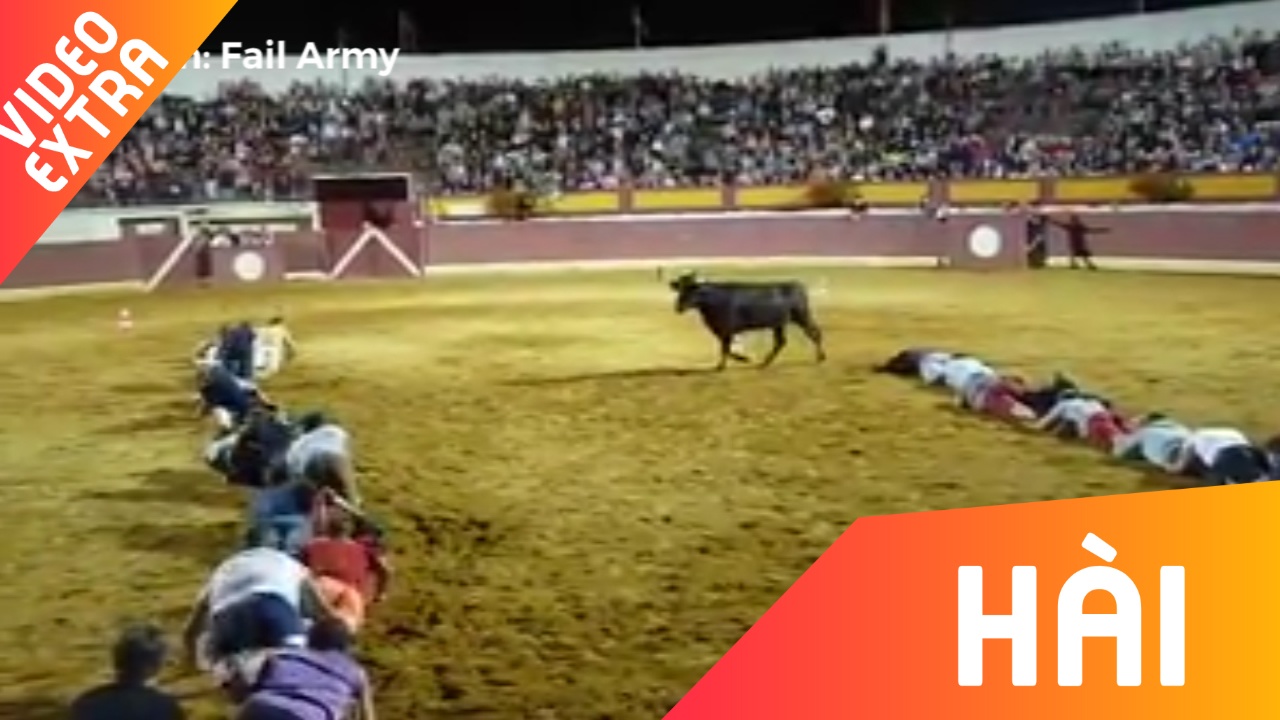 Man danh lua chu bo cua nhung dau si bo tot hinh anh