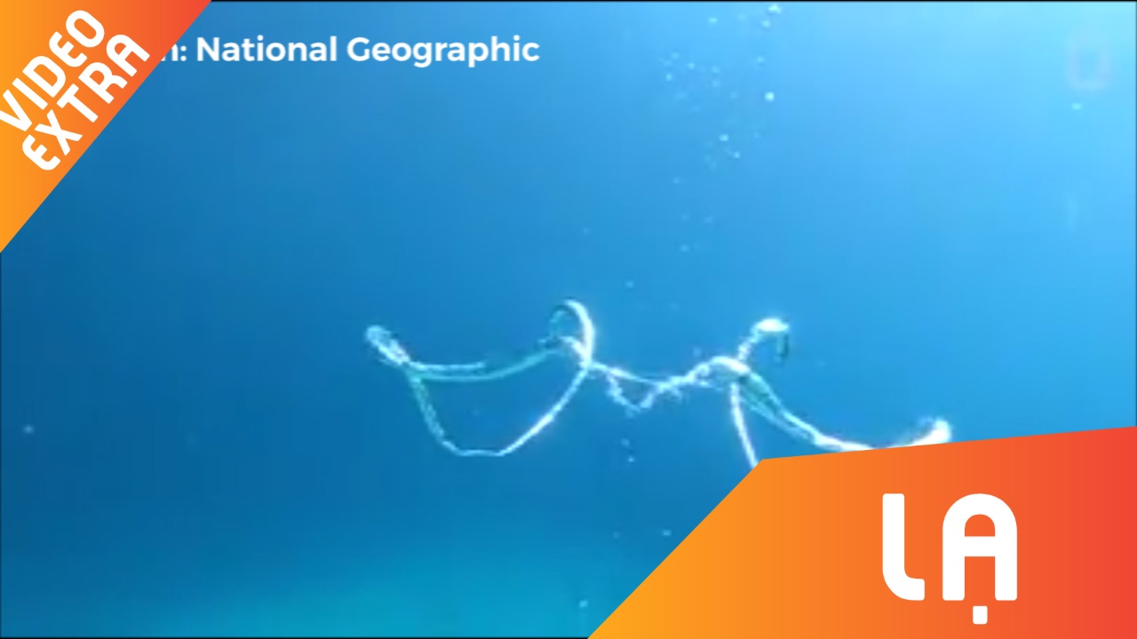 Vu dieu cua nhung chiec bong bong nuoc hinh anh