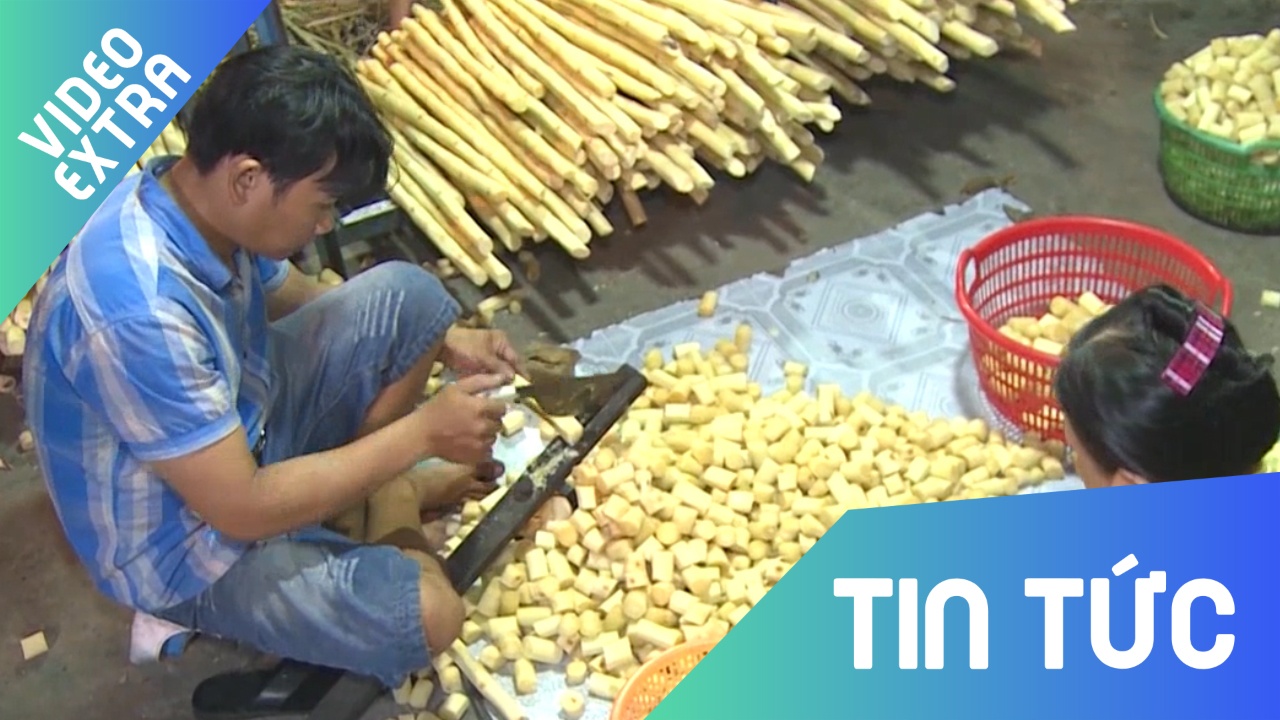 Nguoi dan TP.HCM kiem tien trieu moi ngay nho ban mia hinh anh