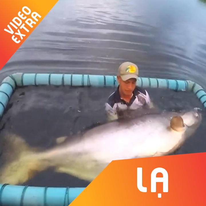 Thanh nien cau duoc chu ca khong lo 170 kg hinh anh