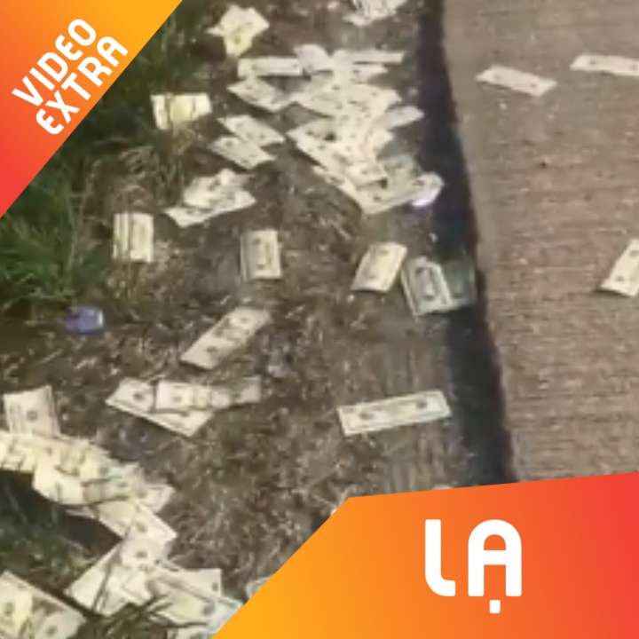 Xe cho hon nua trieu USD bi bat tung cua o My hinh anh