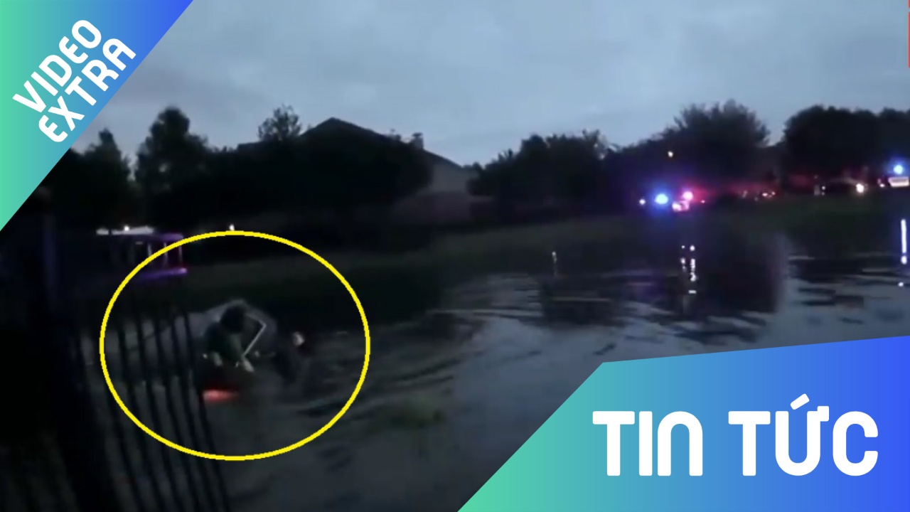 Canh sat My giai cuu phu nu lao xe xuong ho day ran va ca sau hinh anh