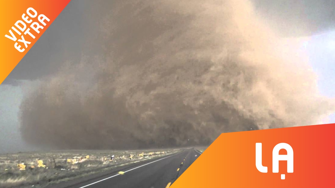 Con dai loc xoay tai My cuon phang moi thu khien nguoi xem hai hung hinh anh