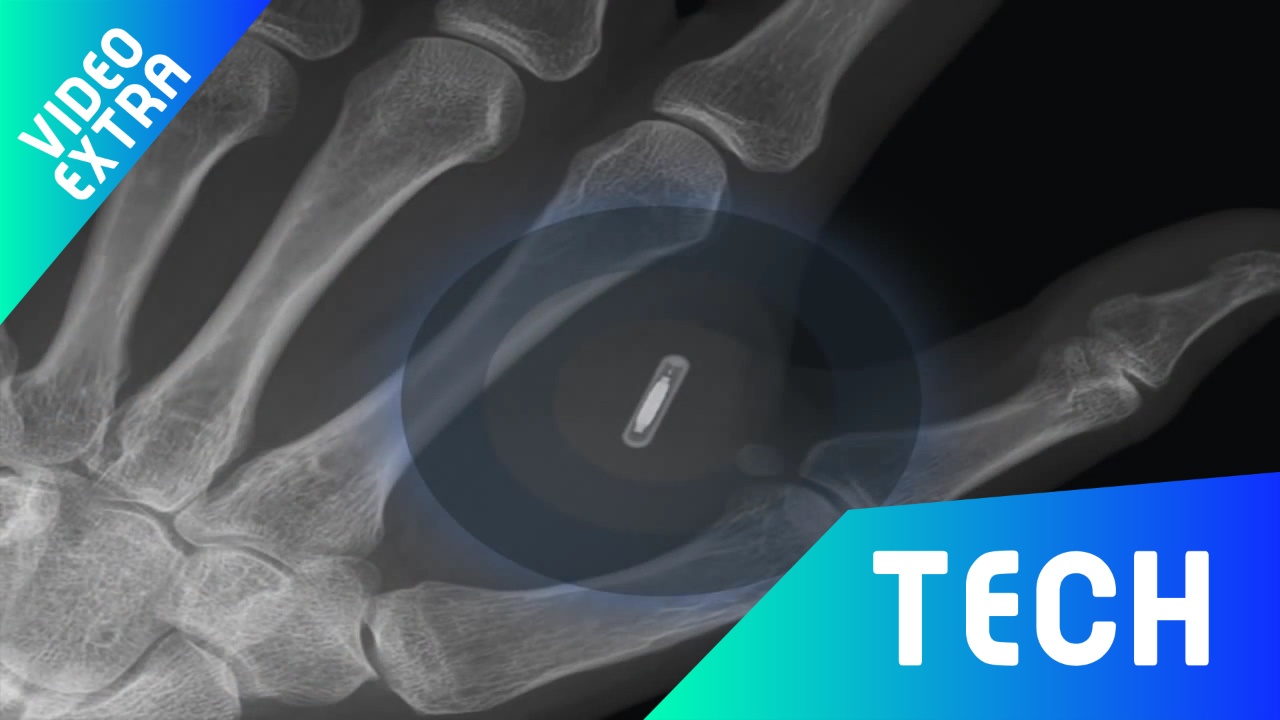 Cay chip duoi da de thay the cac loai the dinh danh o Thuy Dien hinh anh