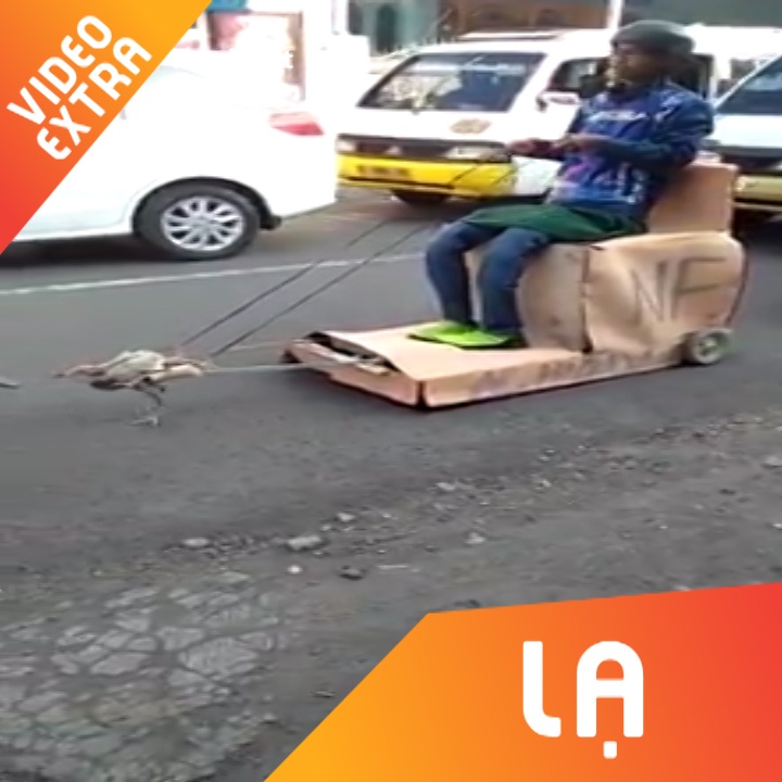 Thanh nien tu che 'xe ga keo' hinh anh