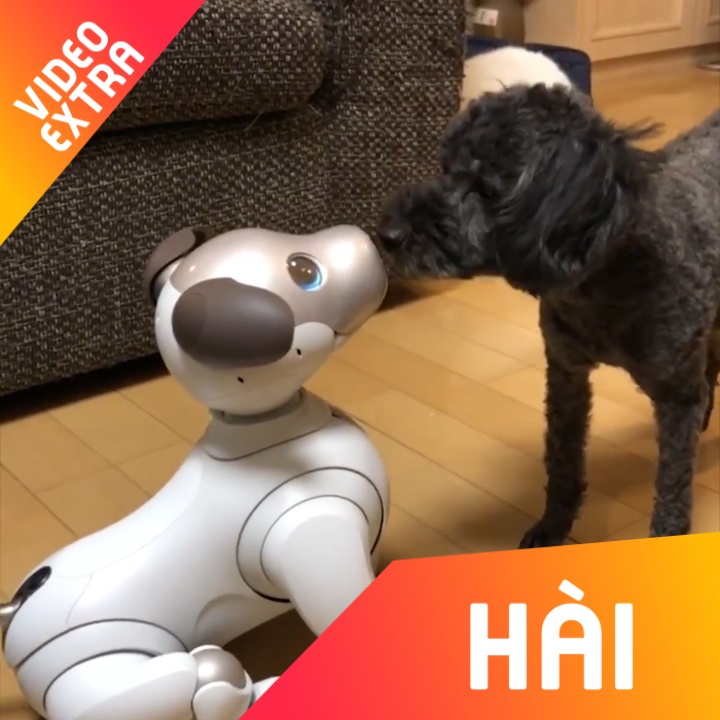 Nhung khoanh khac robot con 'lay' hon con nguoi hinh anh