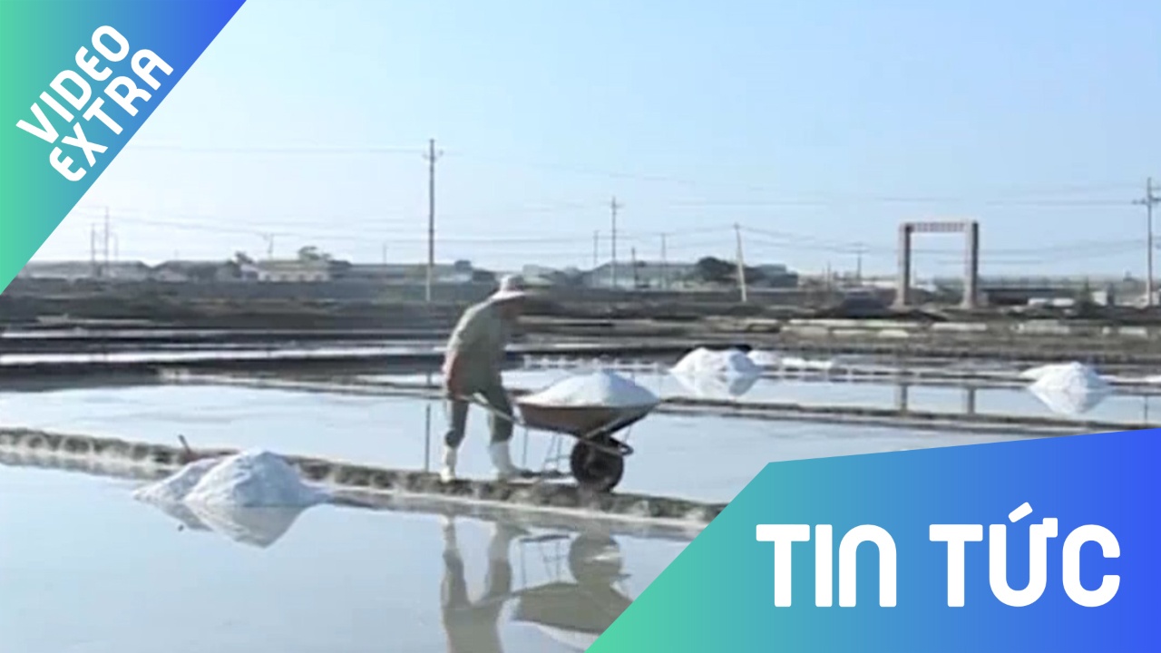 Mua dau mua 'lay mat' cua diem dan Ben Tre 3,5 ty dong hinh anh