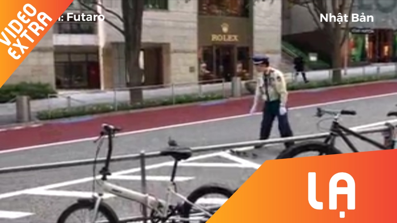 Canh sat Nhat Ban cho dung xe, dat dan vit qua duong hinh anh