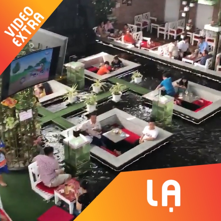 Quan cafe doc dao bao quanh boi dan ca Koi tai Ca Mau hinh anh