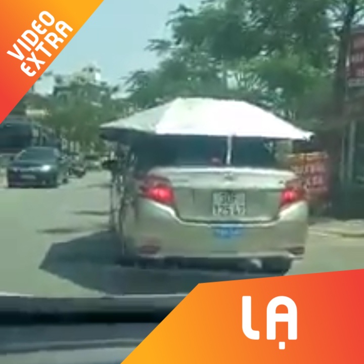 Chiec oto dung cay du 'khung' de che mat khi di duong hinh anh