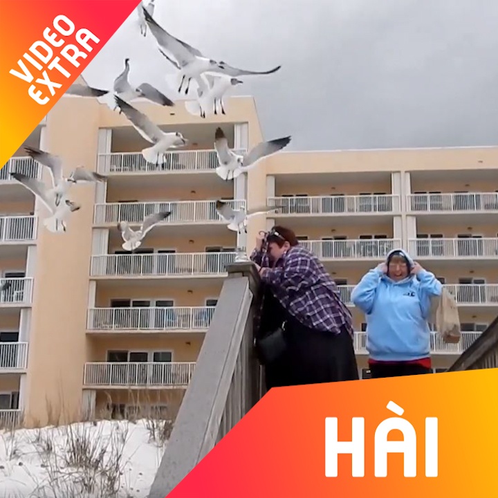 Nhung pha tan cong bat ngo cua mong bien hinh anh