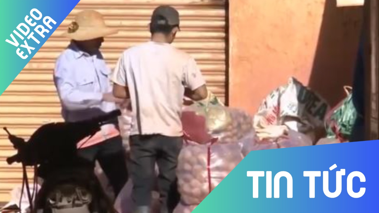 Goc khuat rau Da Lat lai nhap tu Trung Quoc hinh anh