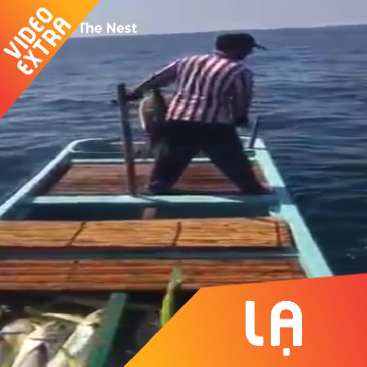 Nguoi dan ong 'vat lon' voi dan ca giua dai duong hinh anh