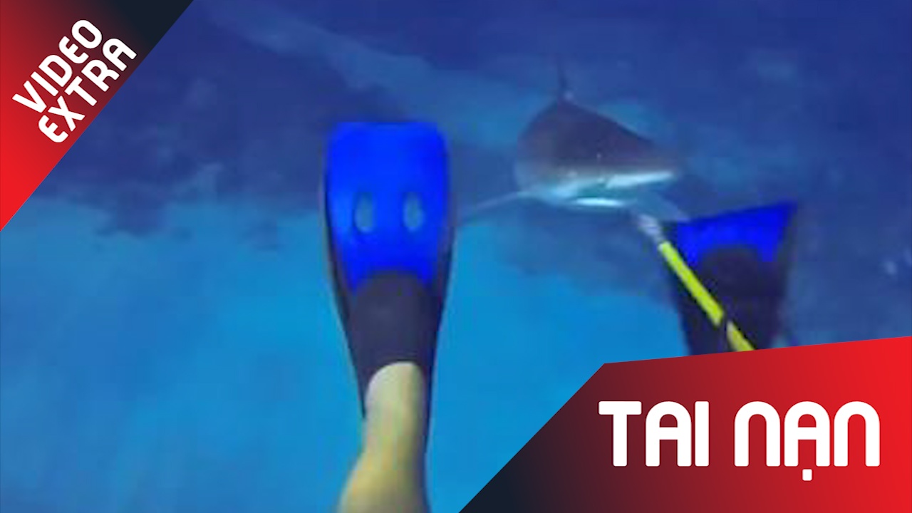 Ca map hung ton bat ngo tan cong tho lan hinh anh