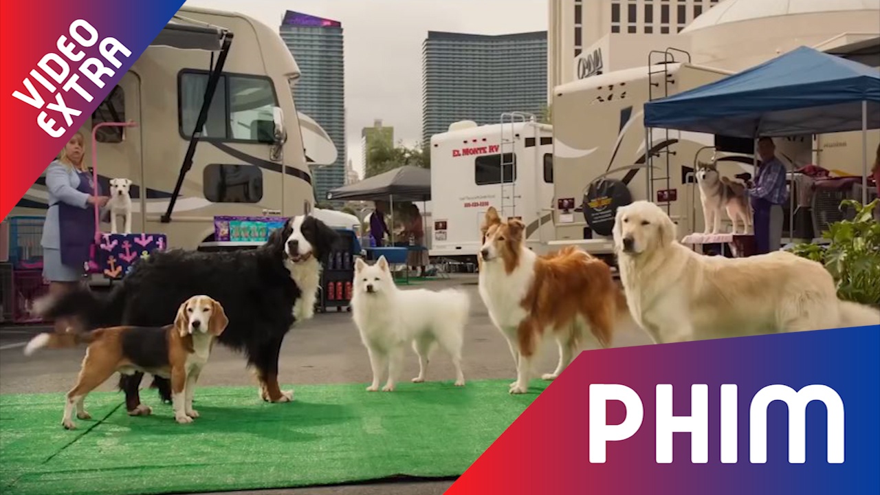 Biet doi cun cung xuat hien trong trailer phim 'Show dogs' hinh anh