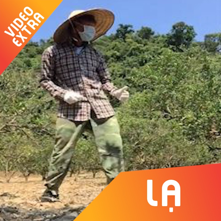 Chang trai the hien man 'moonwalk' vi sap duoc ve nha hinh anh