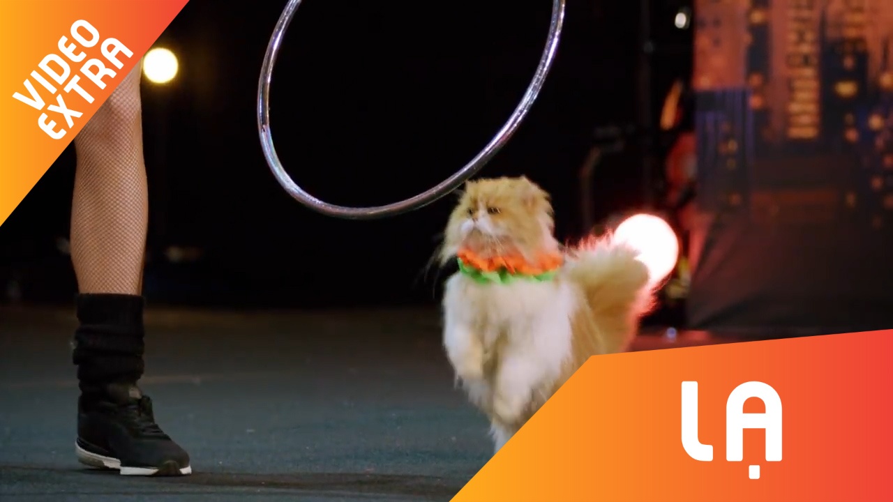 'Dai ca meo' cung chu quay tung san khau America's Got Talent hinh anh