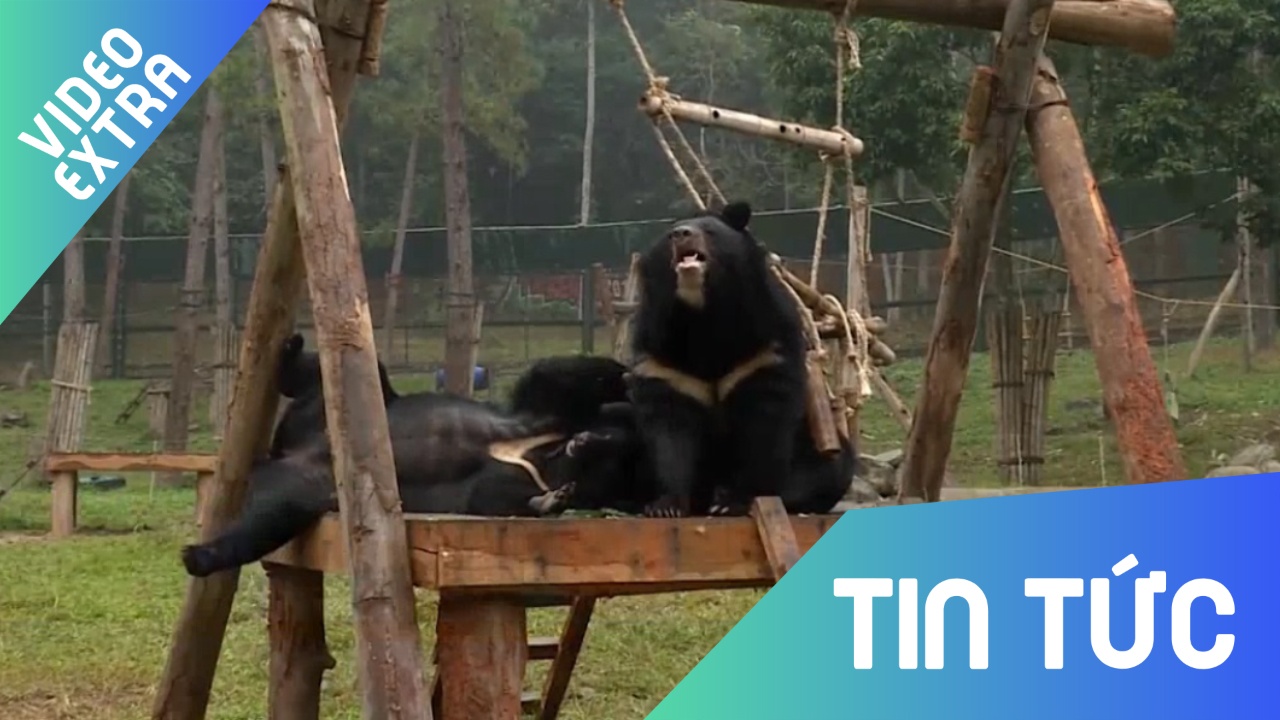 Can Tho xoa so hoat dong nuoi nhot gau lay mat hinh anh