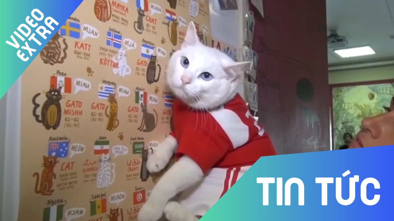 Nga chon meo Achilles lam nha tien tri chinh thuc cho World Cup 2018 hinh anh