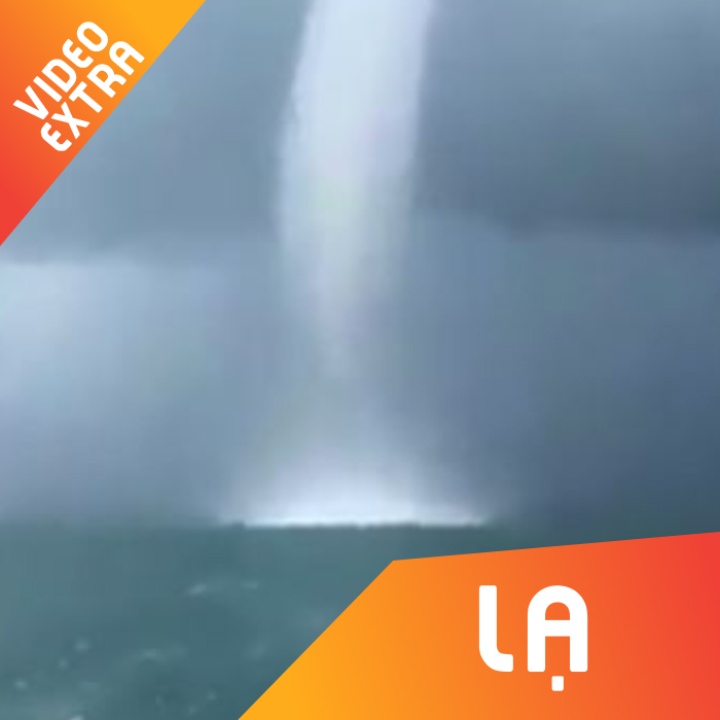 Voi rong sieu lon o cua bien Soc Trang di Con Dao hinh anh