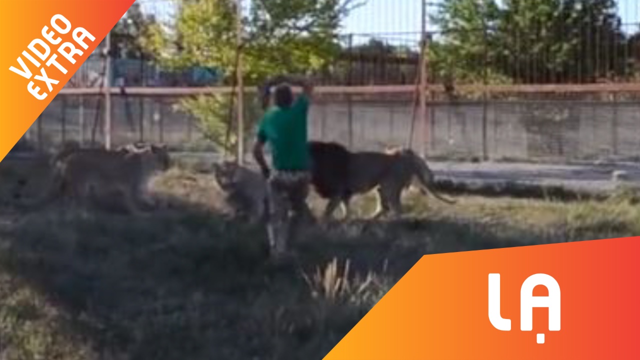 Bat nat su tu cai, su tu duc bi chu vuon thu quang dep vao mat hinh anh