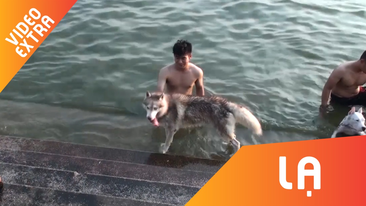 Cho cung dat tien o Thu do 'ru nhau' ra Ho Tay tam giai nhiet hinh anh