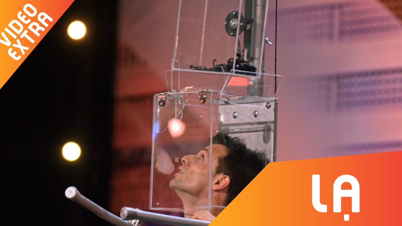 Anh chang mao hiem mang song voi dan bo cap chua hinh anh