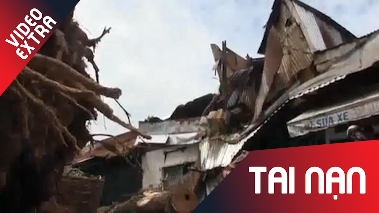 Cay xanh bat ngo nga do vao 2 nha dan, 1 nguoi bi thuong hinh anh