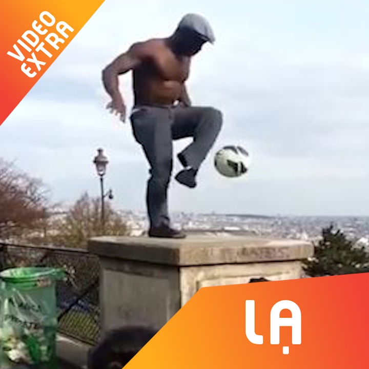 Nguoi dan ong tang bong chuyen nghiep nhu cau thu hinh anh