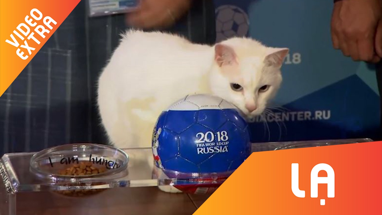 Meo tien tri du doan Nga thang Arab Saudi hinh anh