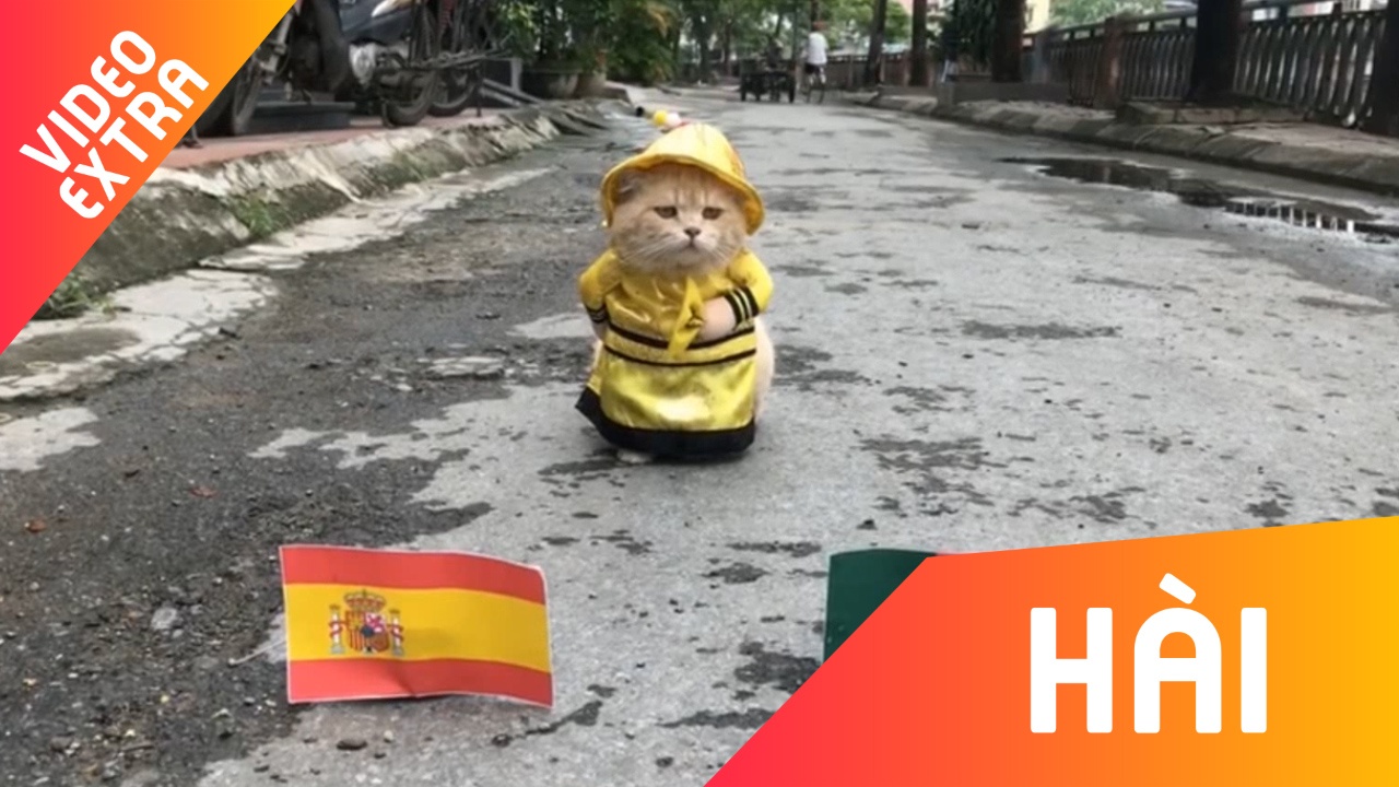 Meo 'hoang thuong' Viet Nam tin Ronaldo da bai Tay Ban Nha hinh anh