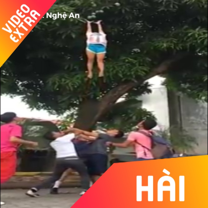 Co nang bay len khong trung de 'trom xoai' hinh anh