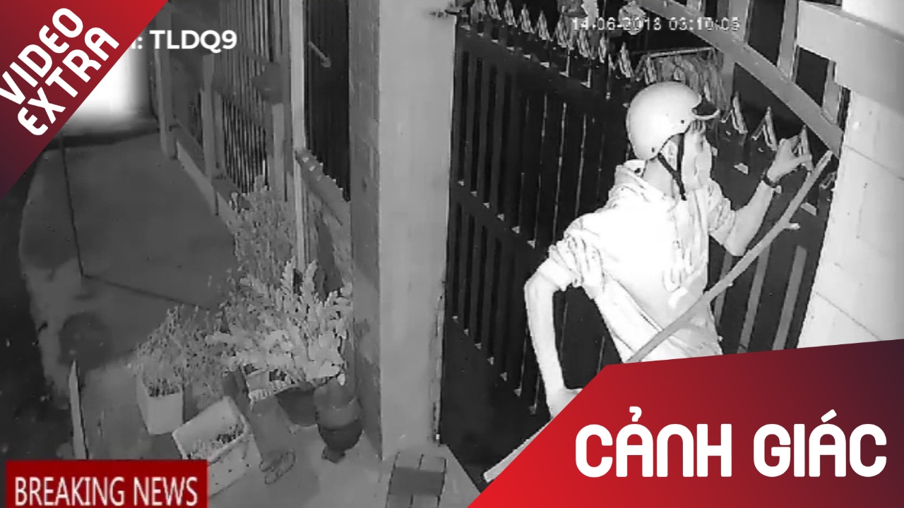 Chu nha xem bong da, thanh nien tranh thu trom chim mua World Cup hinh anh