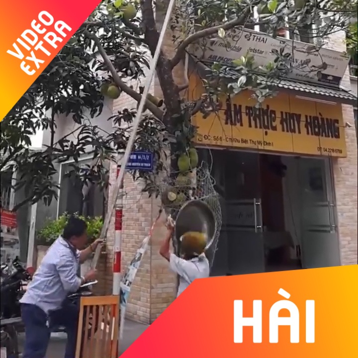 Bi qua mit roi trung dau vi hai 'sai quy trinh' hinh anh