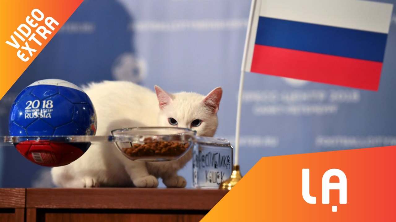 Meo diec tien tri than ky, du doan 3 tran World Cup dung ca 3 hinh anh