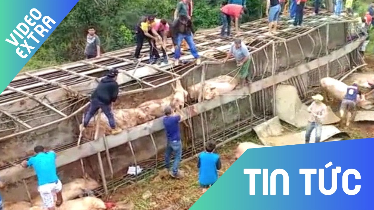 Xe cho lon bi lat, dan lao ra hoi cua chat day xe o Brazil hinh anh