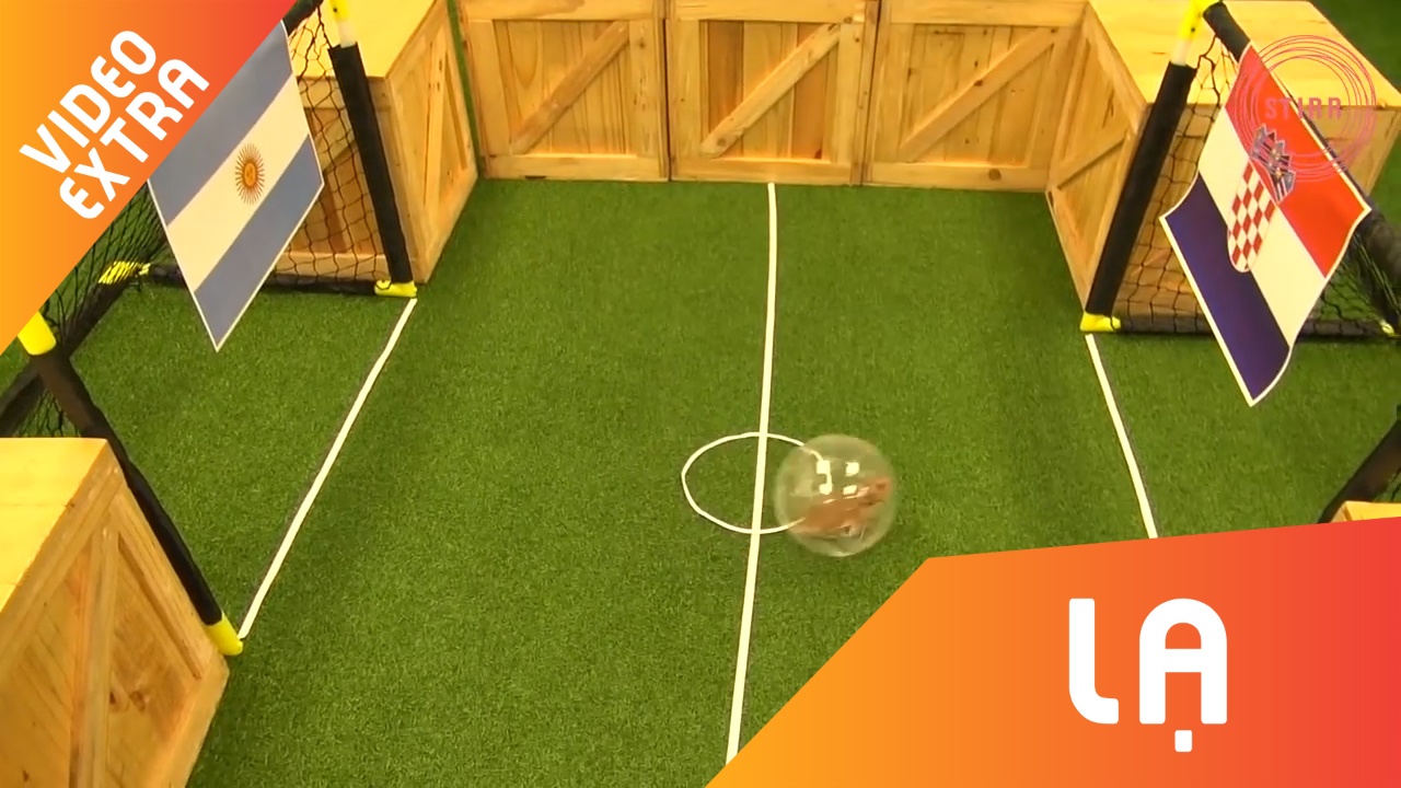 Chuot 'Neymar' tien doan Messi se khien Argentina dai bai hinh anh