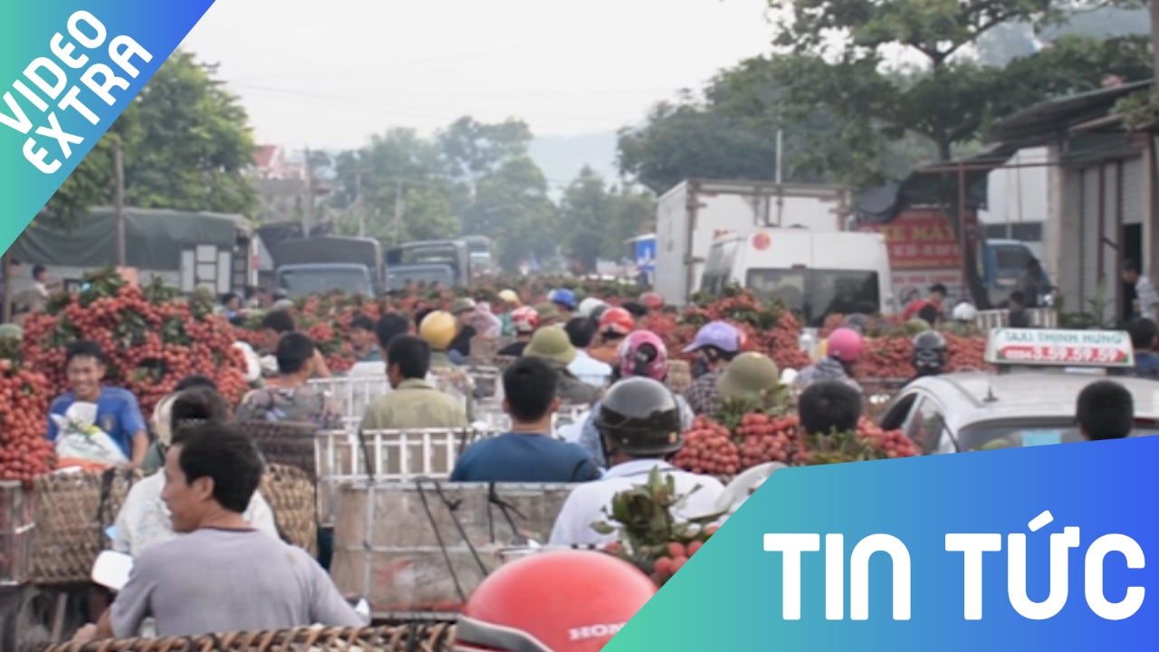 Vai thieu Luc Ngan 4.000 dong/kg, dan un un cho ra quoc lo ban hinh anh