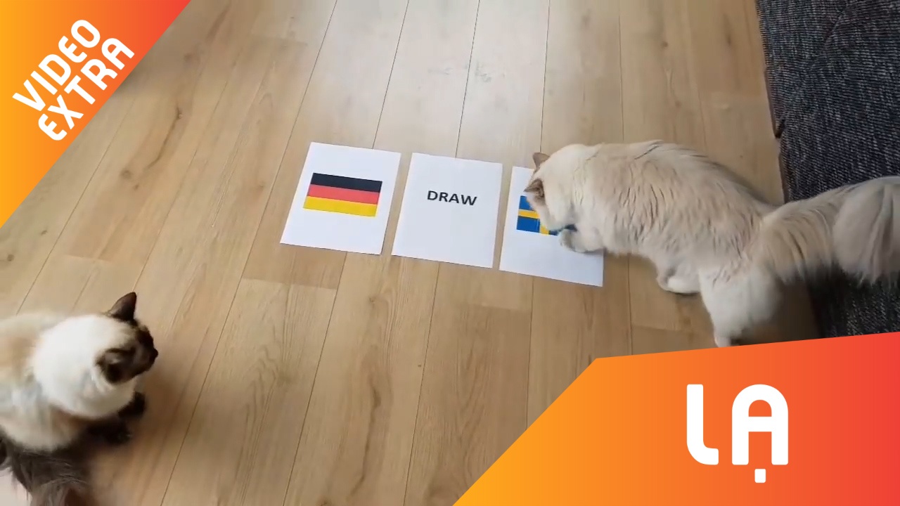 Meo 'tien tri' doan Duc thua truoc Thuy Dien hinh anh