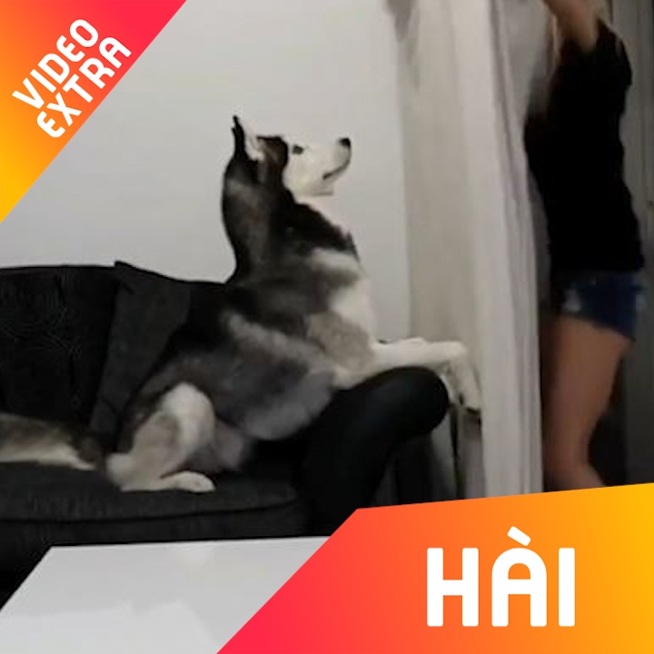 Trao luu 'bien mat' truoc thu cung gay sot hinh anh