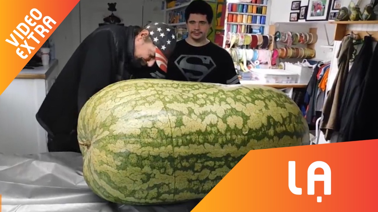 Can canh bo qua dua hau nang 130kg hinh anh