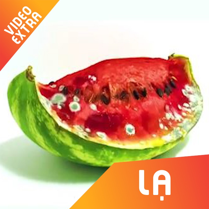 Hinh anh dang so cua thuc pham khi de hong lau ngay hinh anh