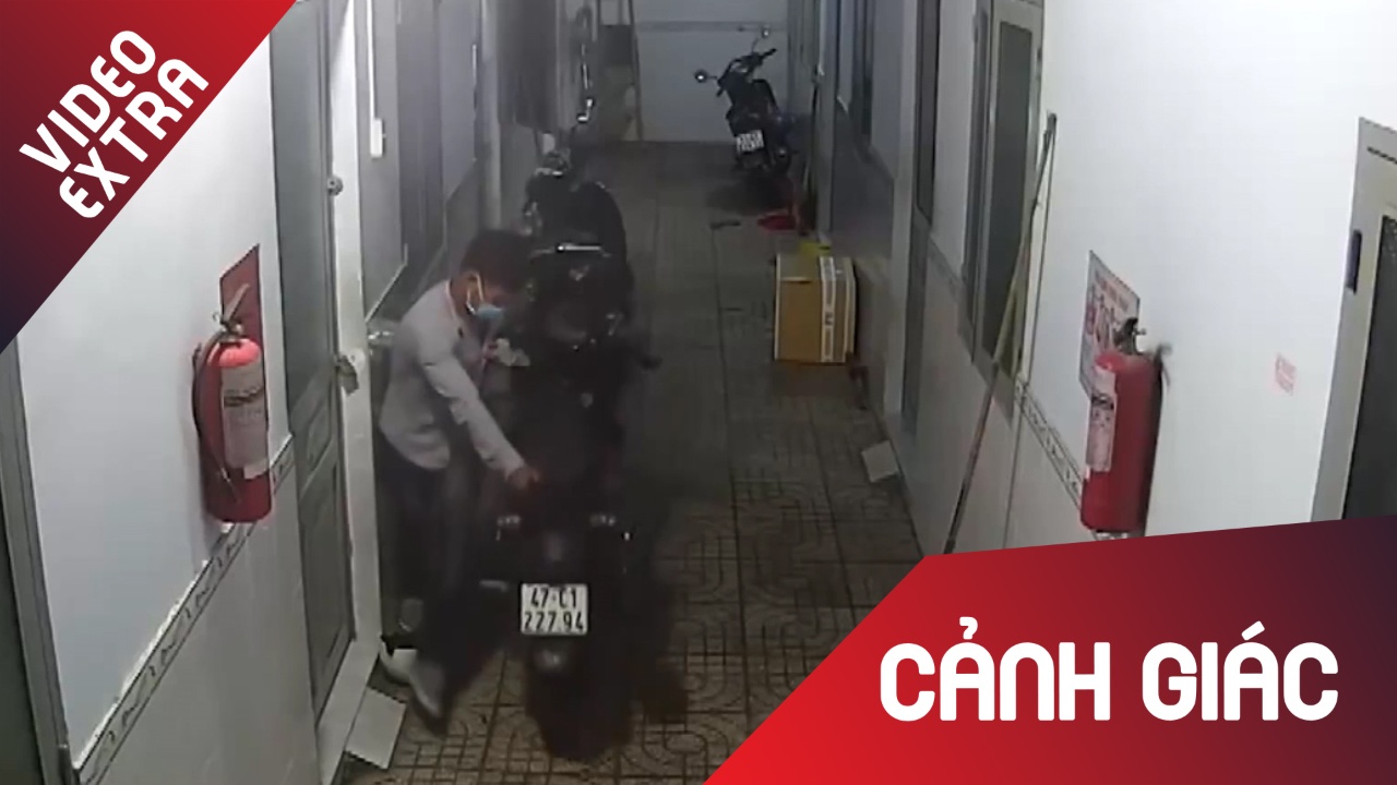 Trom cap ngay cang long hanh mua World Cup hinh anh